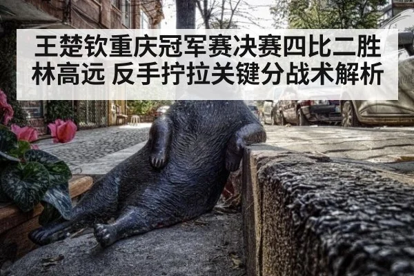 王楚钦重庆冠军赛决赛四比二胜林高远 反手拧拉关键分战术解析